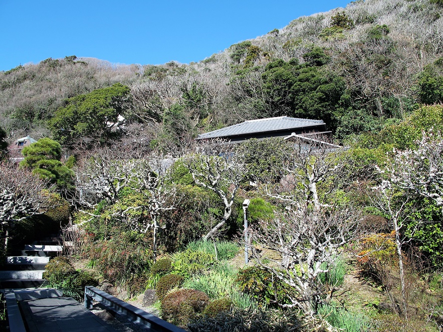 山口蓬春記念館の庭園【花のコラム】